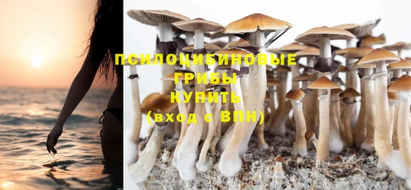 мескалин Заводоуковск