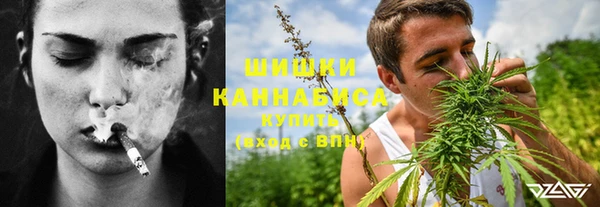 мескалин Заводоуковск